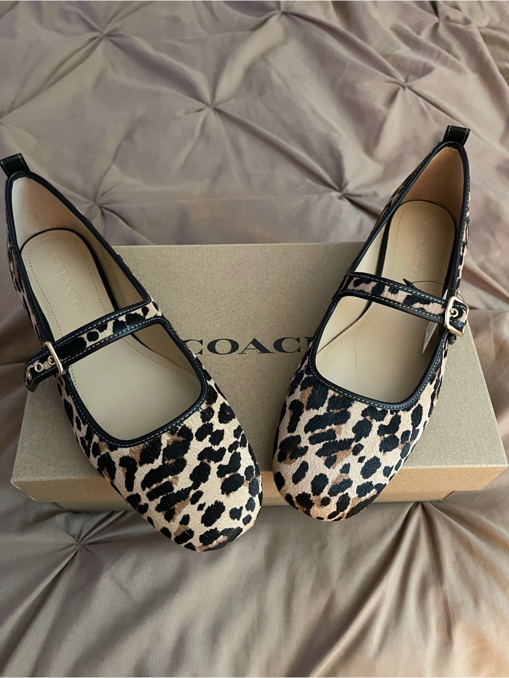 COACH Leopard Print Mary Jane Flats in Tan and Black